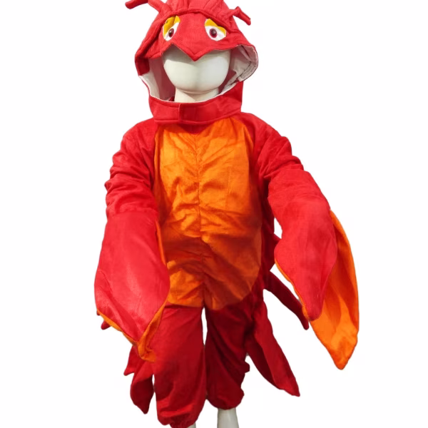 Crab Water Animal Aquatic Kids Fancy Dress Costume in Mumbai at ₹ 369 / Unit by Bookmycostume Com - Justdial